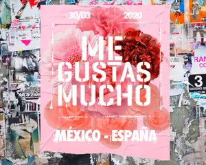 Me Gustas Mucho